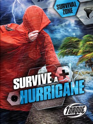 cover image of Survive a Hurricane